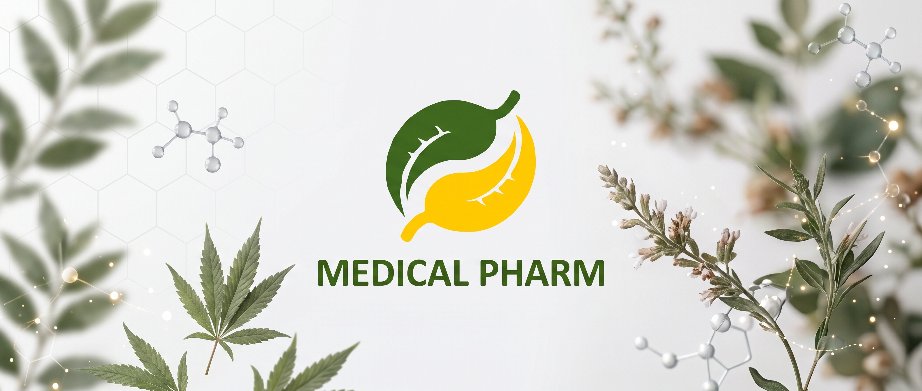 Medical Pharm category-dominant organic search transformation and Google performance metrics